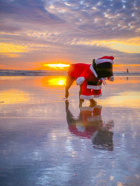 Woman on beach against sky during sunset
