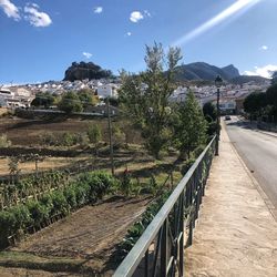 Footpath amidst trees and buildings against sky
