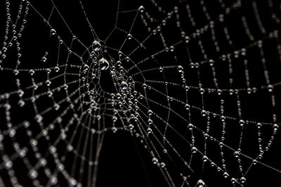 Close-up of spider web