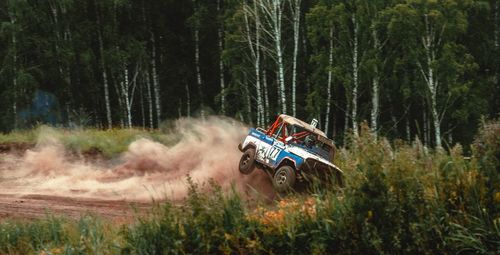 People on field by trees in forest