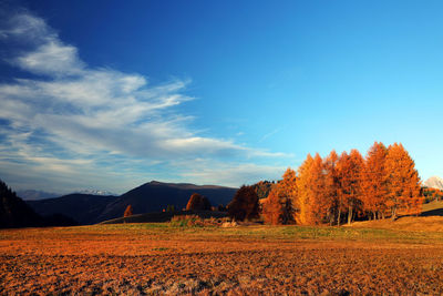 Scenic view of field against sky during autumn