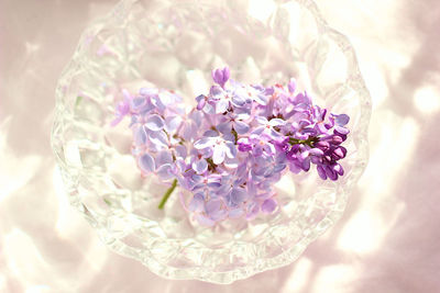 Close-up of lilacs in a crystal bowl with water