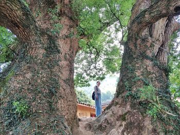 Woman standing by tree trunk in forest