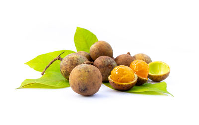 Close-up of fruits and leaves against white background