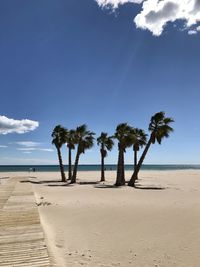 Palm trees on beach against sky