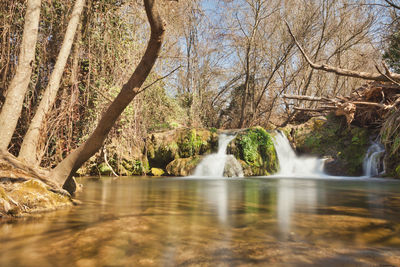 Scenic view of waterfall in forest