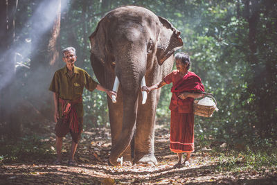 Senior couple touching elephant tusk in forest