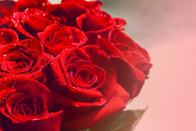 Close-up of red rose bouquet