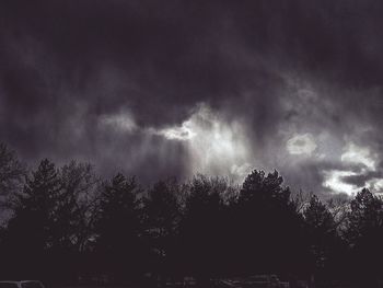 Low angle view of silhouette trees against sky