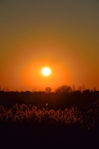 Silhouette trees on landscape against orange sky