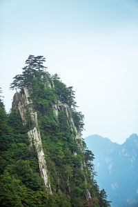 Low angle view of tree mountain against clear sky