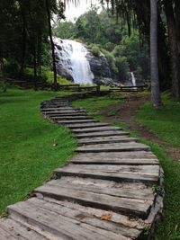 Pathway leading waterfall in forest