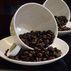 Close-up of food in bowl