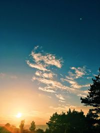 Low angle view of silhouette trees against sky during sunset