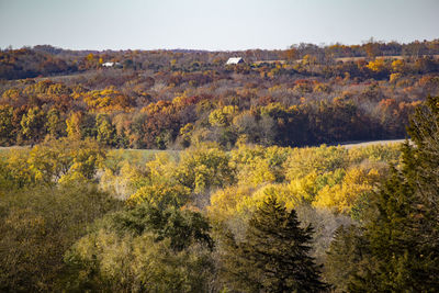 Scenic view of trees on landscape during autumn