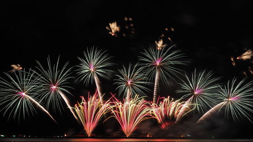 Low angle view of firework display at night