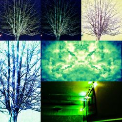 Low angle view of bare trees against sky