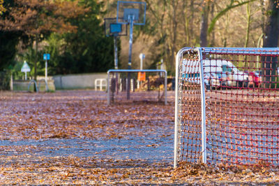 Empty soccer field in park during autumn