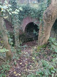 Arch bridge over river