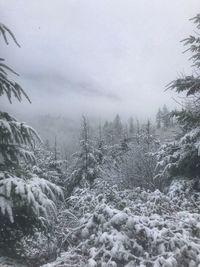 Scenic view of snow covered landscape against sky