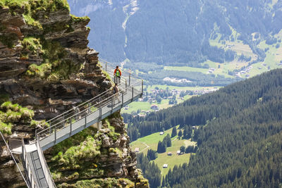 High angle view of trees and mountains in switzerland. 