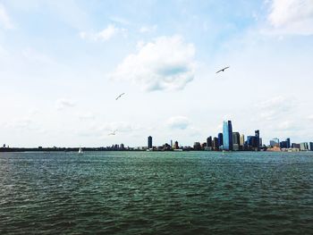 Birds flying over sea with city in background