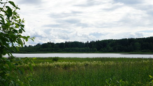 Scenic view of field against sky