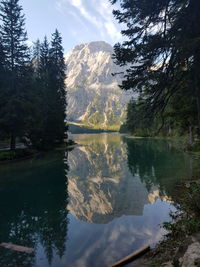 Scenic view of lake by trees against sky