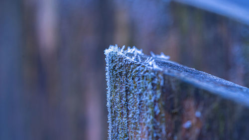 Ice crystal on surfaces pointing and catching light at angles for winter layers, textures and images