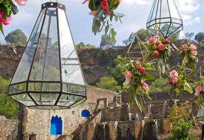 Close-up of flowers against built structure