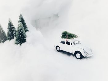 View of christmas tree in snow