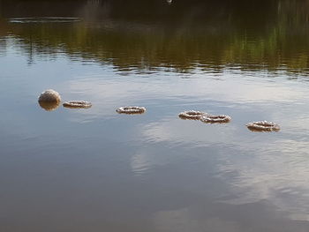 Reflection in water