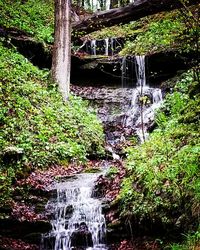 Scenic view of waterfall in forest