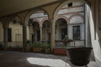 Potted plants on old building