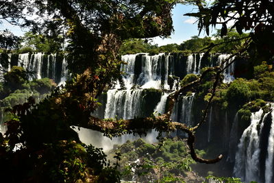 Scenic view of waterfall against trees