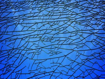 Low angle view of bare tree against blue sky