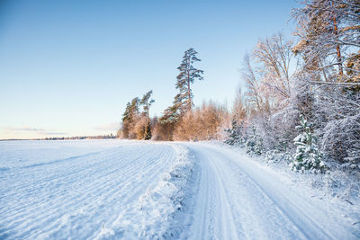 Snow covered road by trees against clear sky