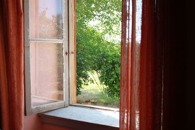 View of trees through window