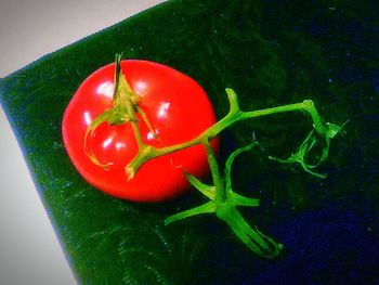 Close-up of red tomatoes