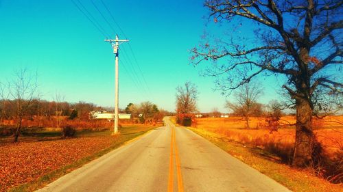 Road by trees against sky