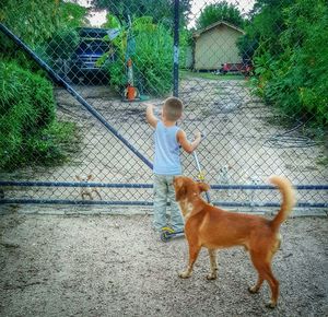 Dog standing on footpath