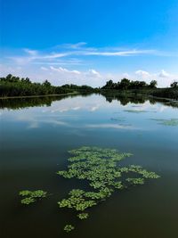 Scenic view of lake against blue sky