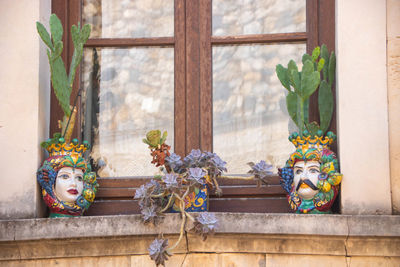 Potted plant by window