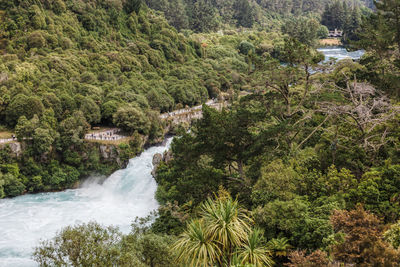 View of waterfall in forest