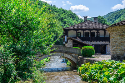 Bridge over river amidst trees and plants against sky