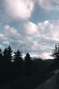 Scenic view of silhouette trees against sky during sunset