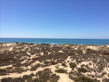 Scenic view of beach against clear blue sky