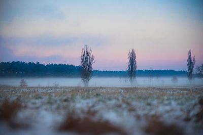 Scenic view of field against sky during sunset