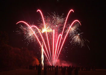 Low angle view of firework display at night