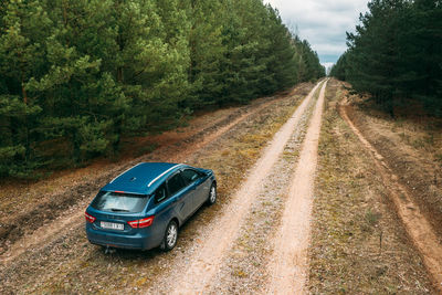 Car moving on road amidst trees